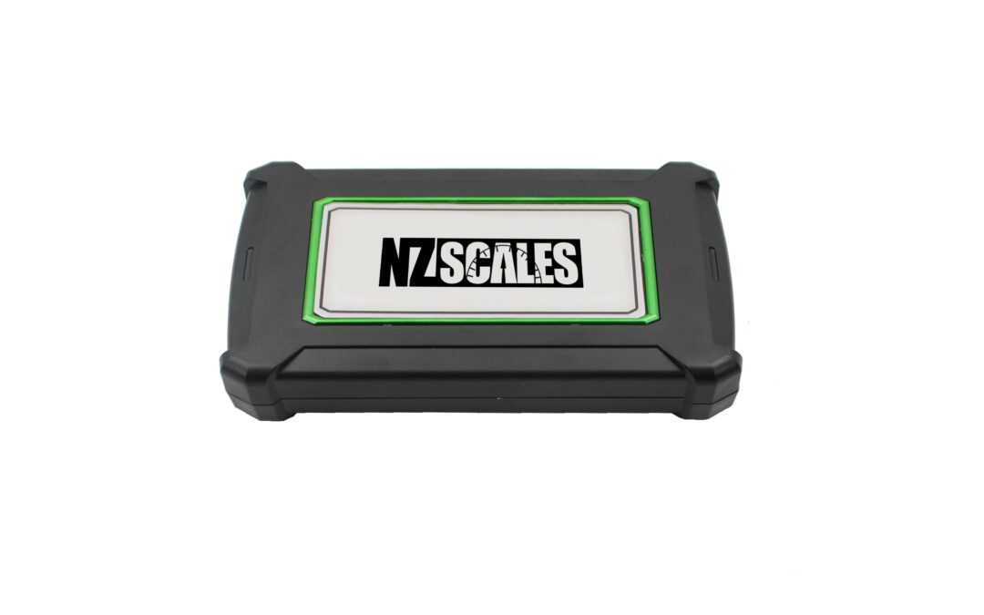 NZ Digital Scale RA-100 100 x 0.01G